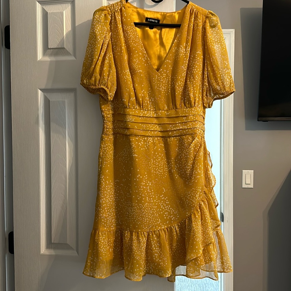 EXPRESS dress